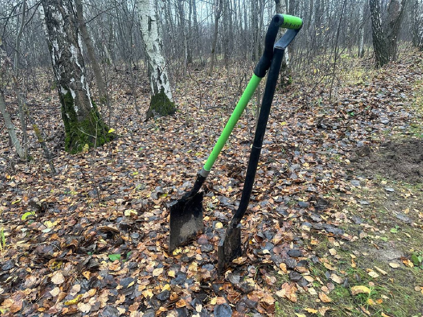 парки домодедово, парк взлет, каток в парке, вертикали