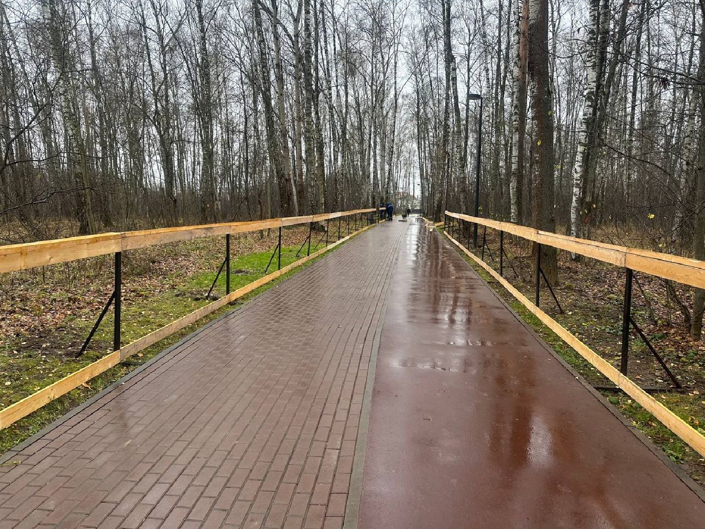 парки домодедово, парк взлет, каток в парке, вертикали