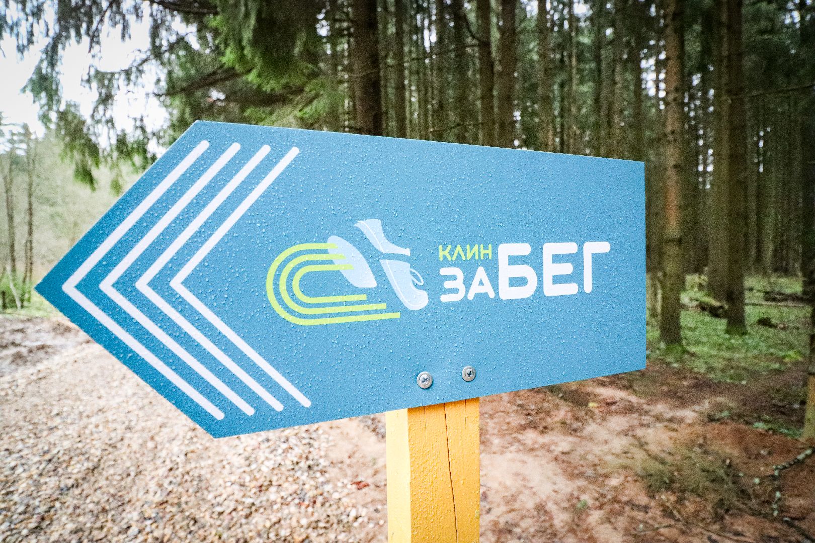 Клин, общество, спорт, культура, благоустройство, лесопарк, вертикалки,