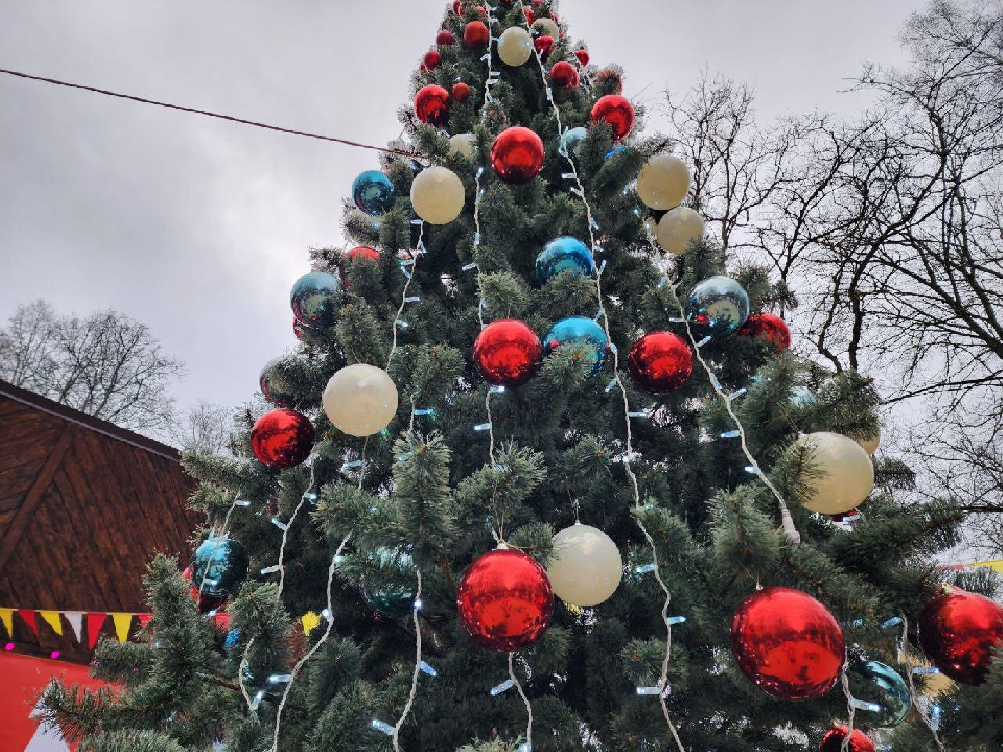 Солнечногорск, Городской парк, Праздник, Жители, день рождения деда мороза, вертикалки,