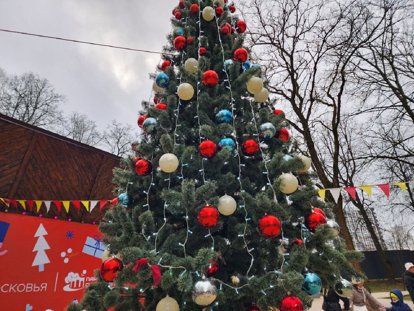 Солнечногорск, Городской парк, Праздник, Жители, день рождения деда мороза, вертикалки,