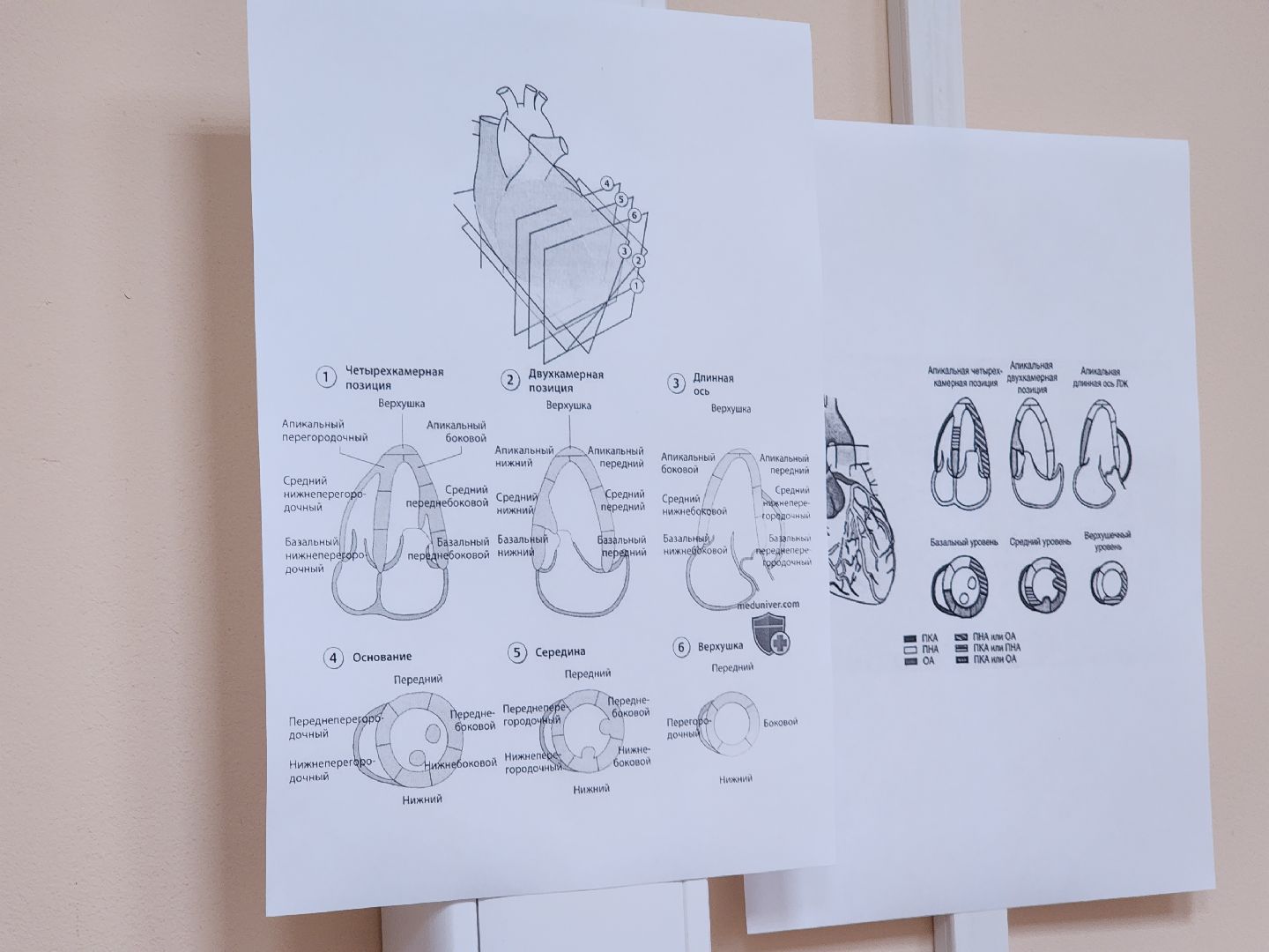 можайская больница, медицина, медицина подмосковья, медицина можайска, можайский городской округ, здравоохранение, здравоохранение мо,