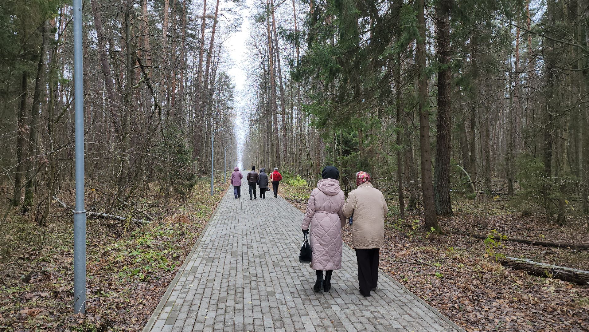 серпухов, подмосковье, зубры, усыновить зубра, центральный зубровый питомник,приокско-террасный заповедник,