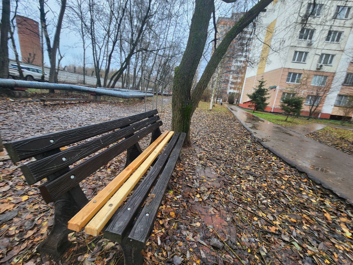 Одинцово, благоустройство, план добрых дел, вертикалка, вертикальное видео,