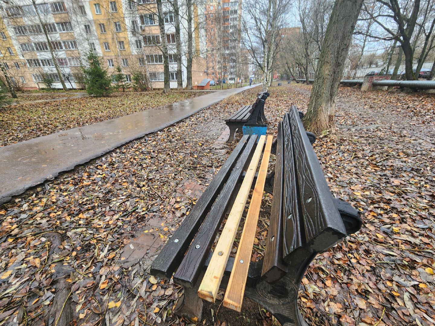 Одинцово, благоустройство, план добрых дел, вертикалка, вертикальное видео,