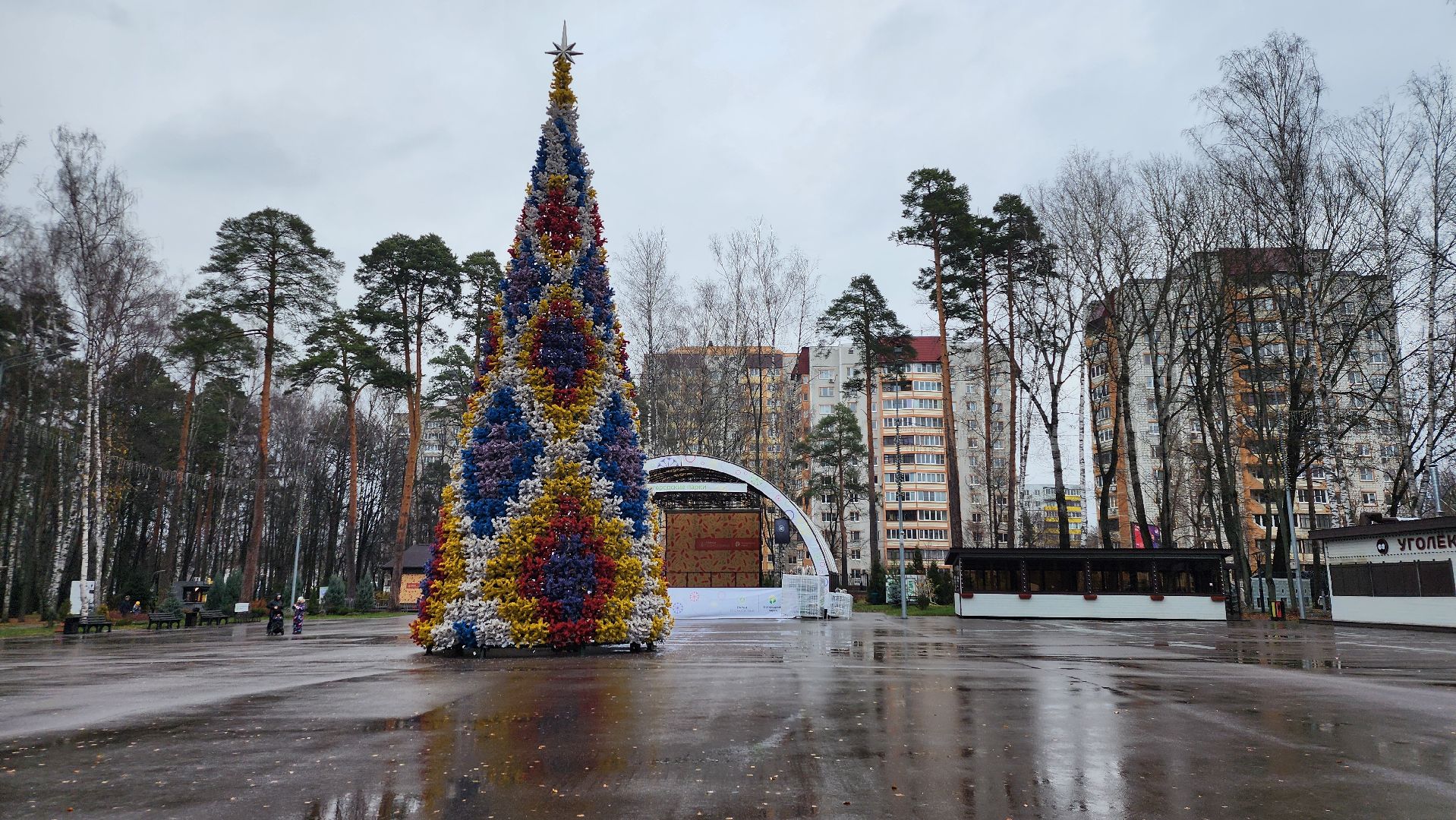 Новый год, новогодние украшения, Центральный парк, Ногинск, Богородский городской округ, вертикалки