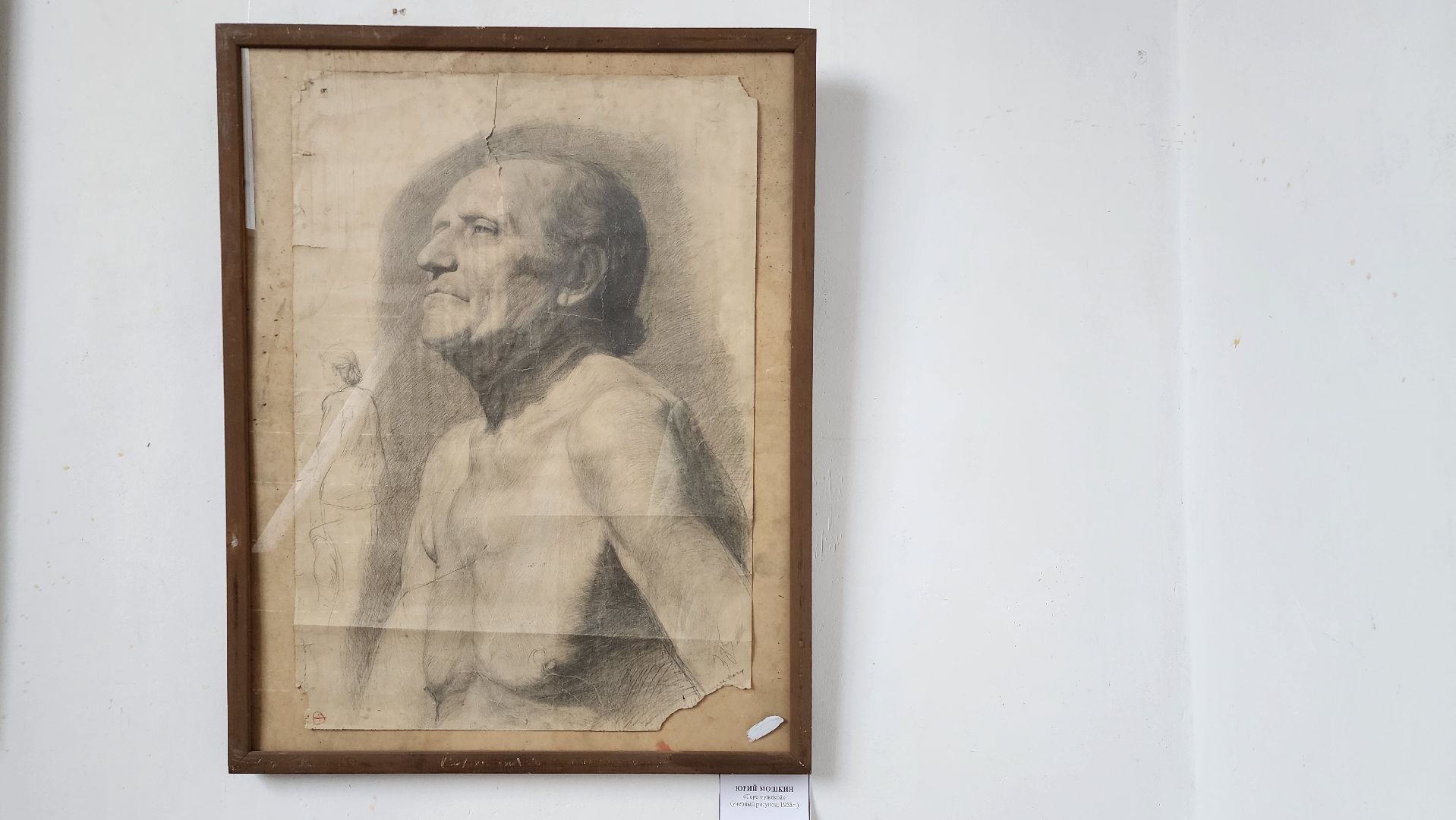 Союз художников России, искусство, Ногинский дом художника, Богородский городской округ, вертикалки