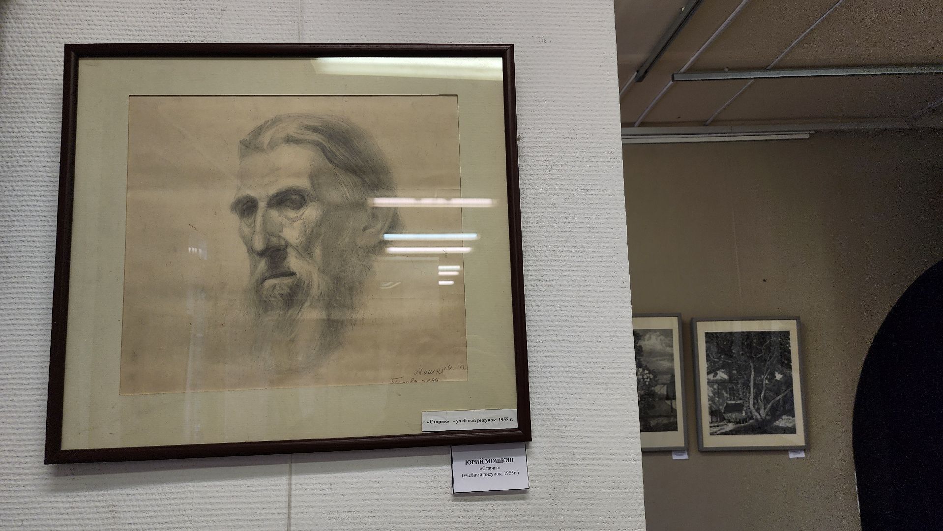 Союз художников России, искусство, Ногинский дом художника, Богородский городской округ, вертикалки