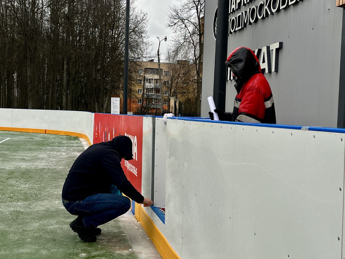 вертикальное видео, вертикалка, центральный парк наро-фоминска, наро-фоминский городской округ, каток в парке, зима в подмосковье,