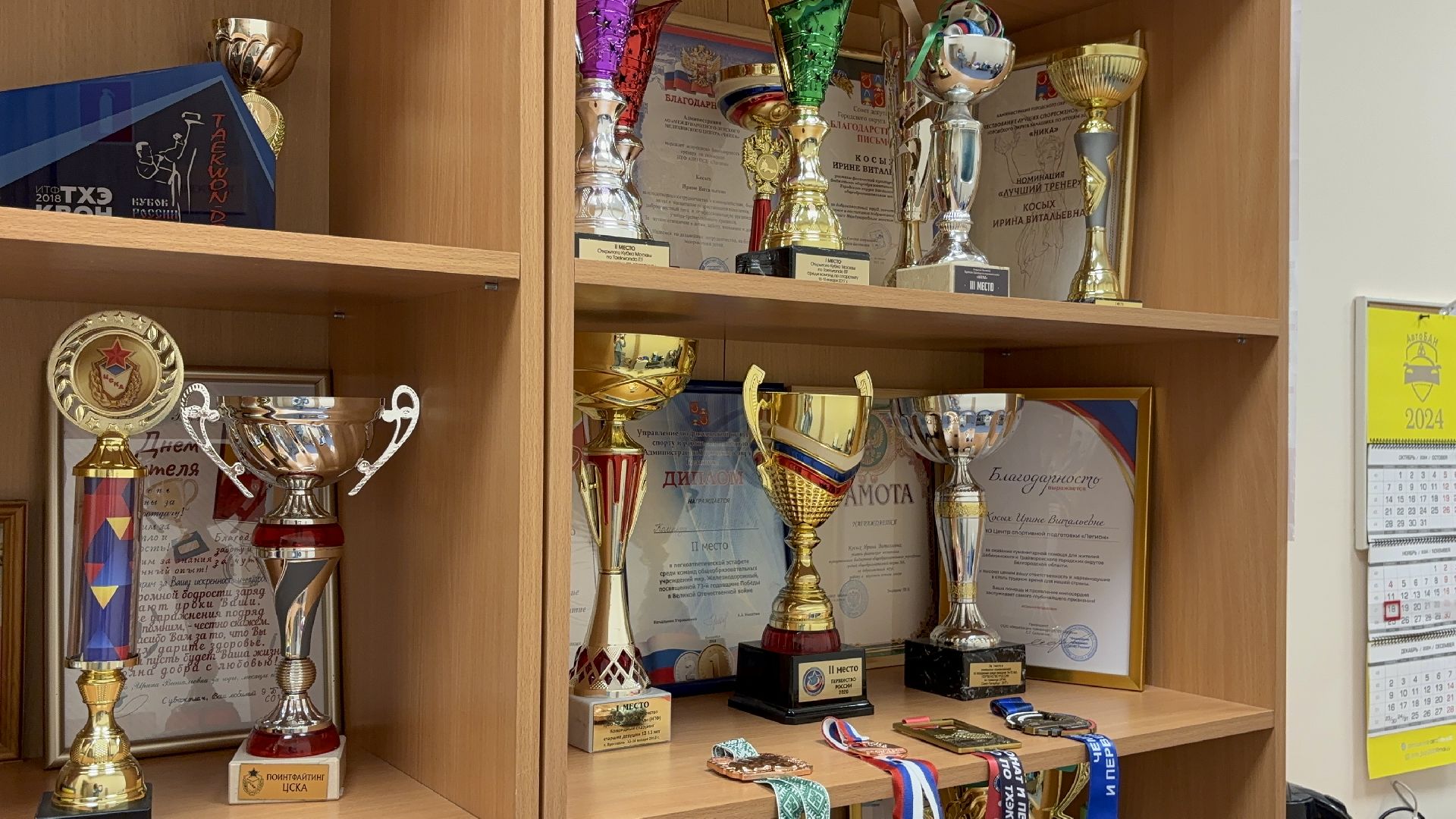 тхэквондо, спорт, кубок мира,Балашиха,