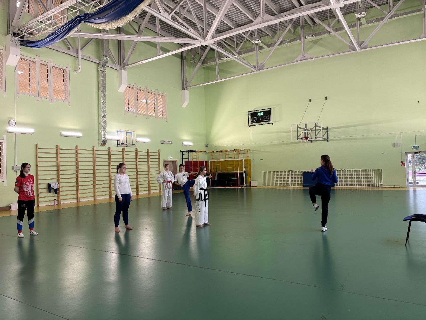 тхэквондо, спорт, кубок мира,Балашиха,