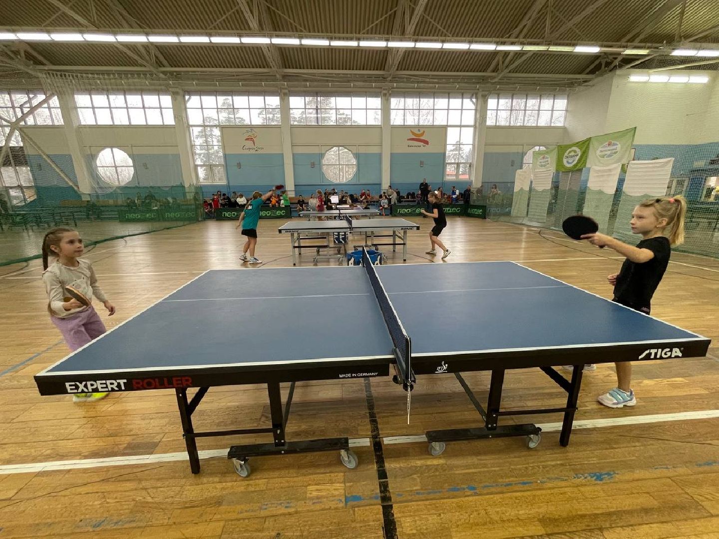 Дмитров, Спорт, Настольный теннис,