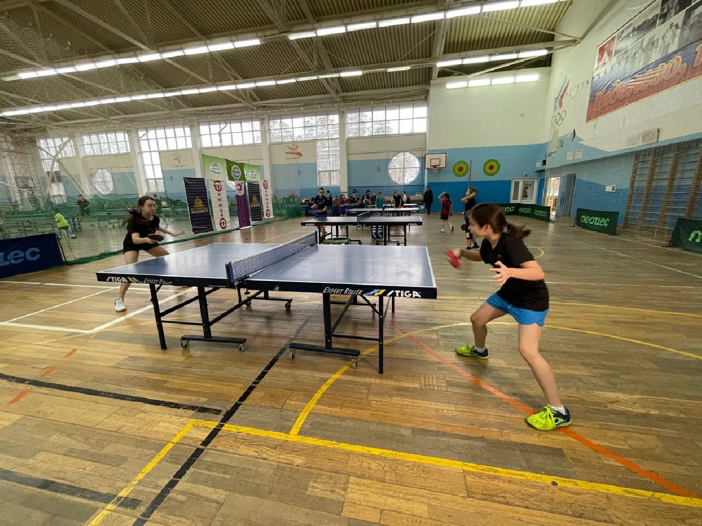 Дмитров, Спорт, Настольный теннис,