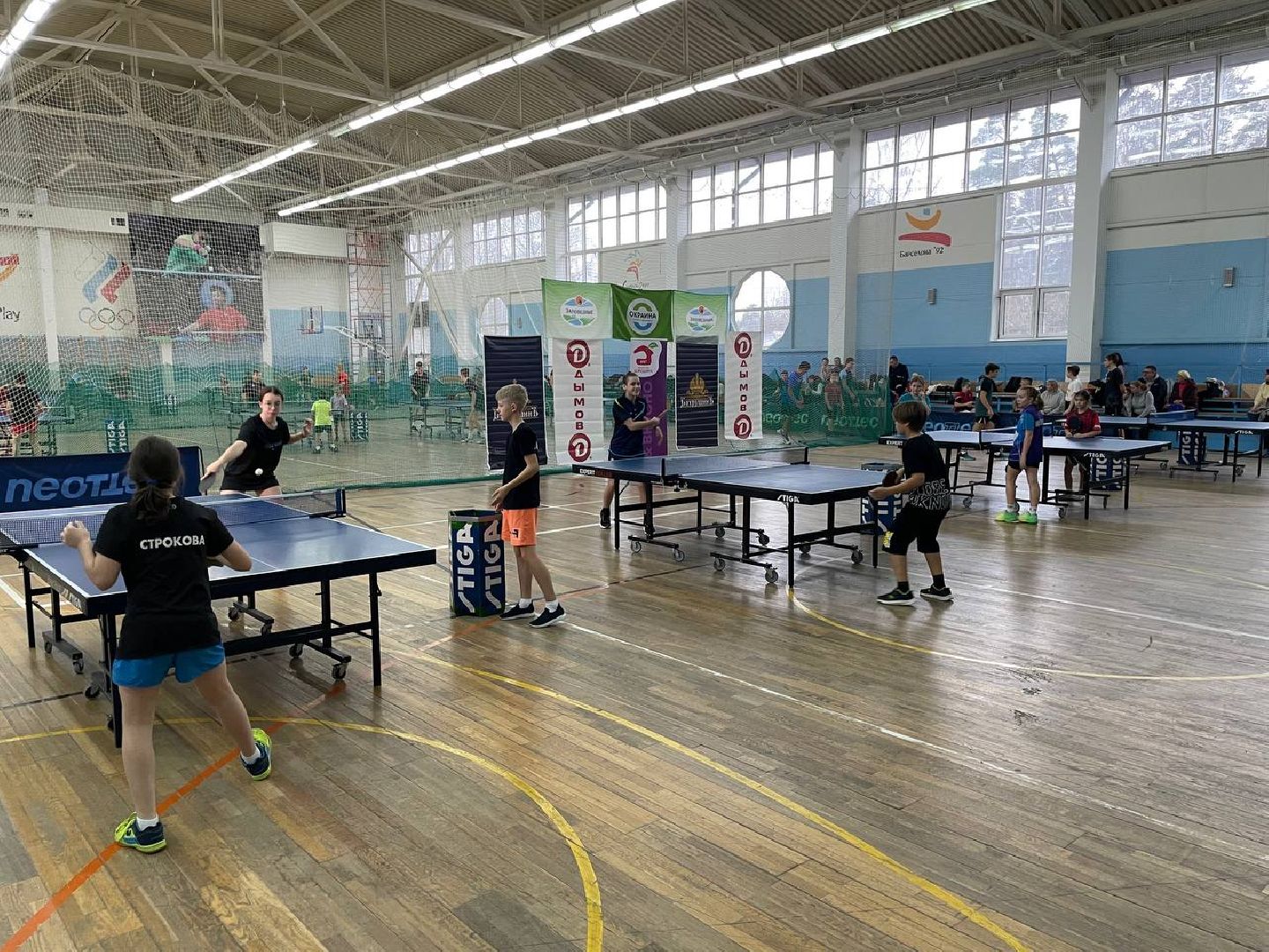 Дмитров, Спорт, Настольный теннис,