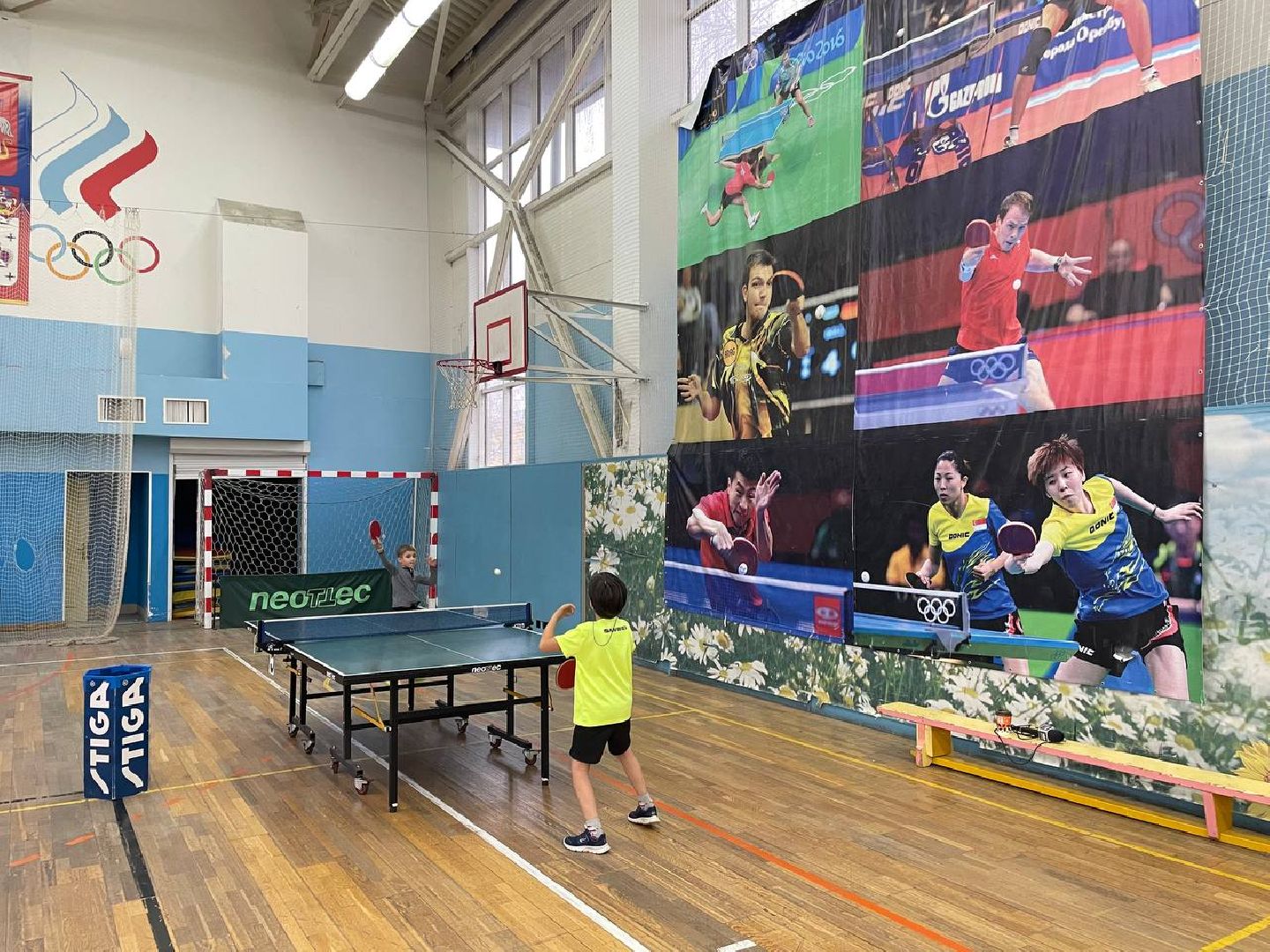 Дмитров, Спорт, Настольный теннис,