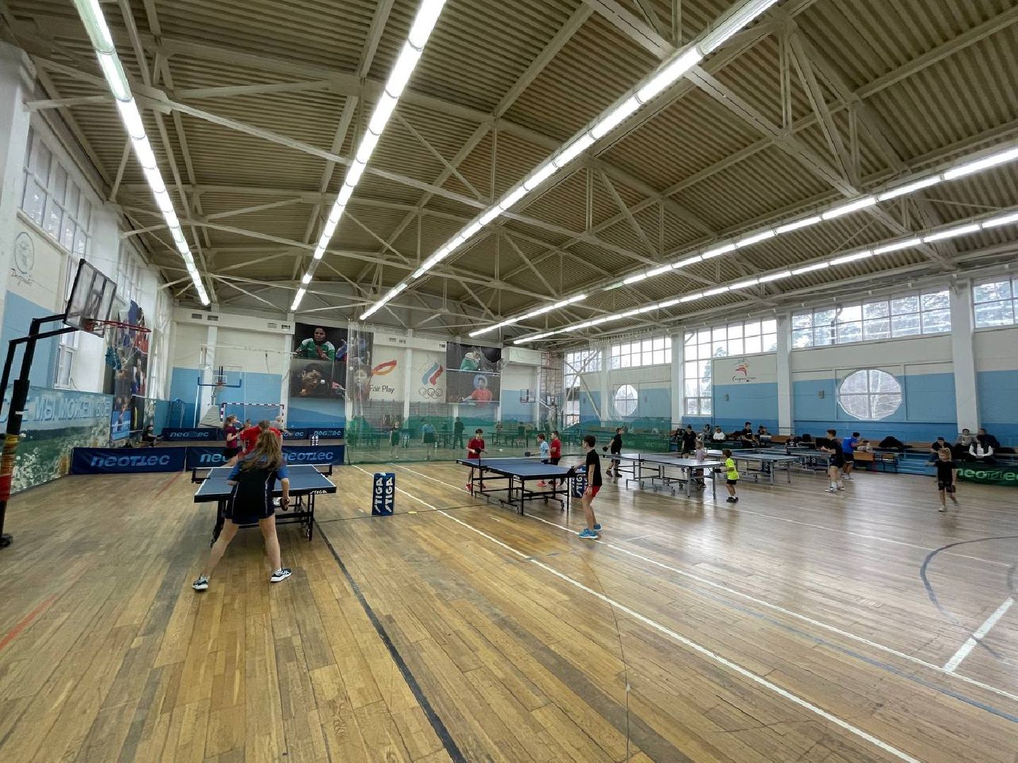 Дмитров, Спорт, Настольный теннис,