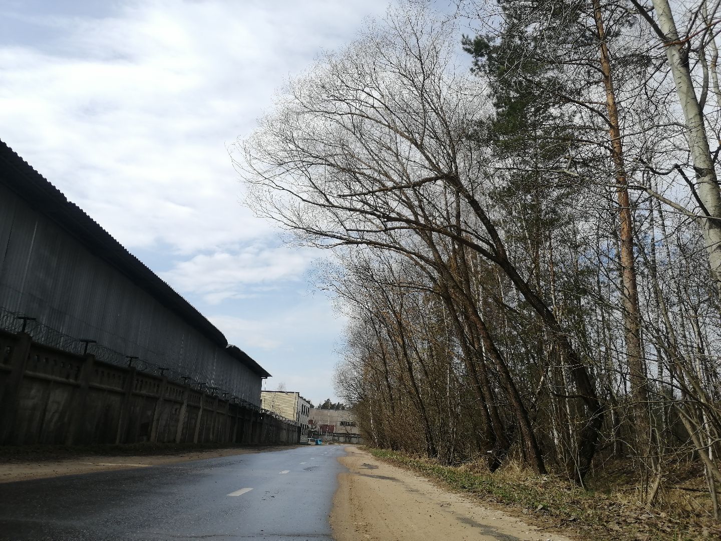 экология, порядок, благоустройства, деревья, Протвино