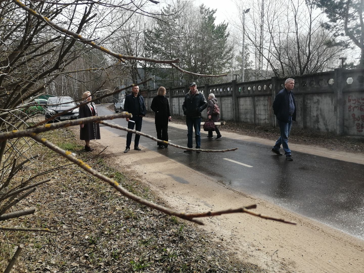 экология, порядок, благоустройства, деревья, Протвино