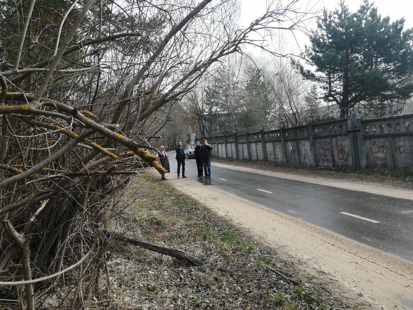 экология, порядок, благоустройства, деревья, Протвино