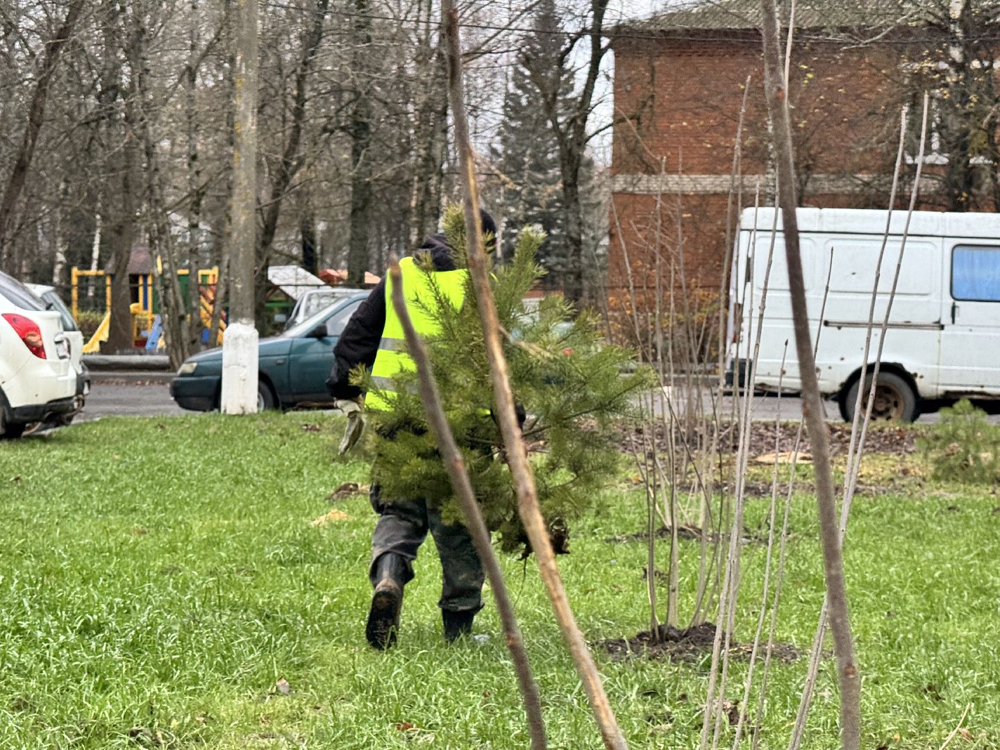 шаховская, посадка деревьев, коммунальная служба, вертикалки,