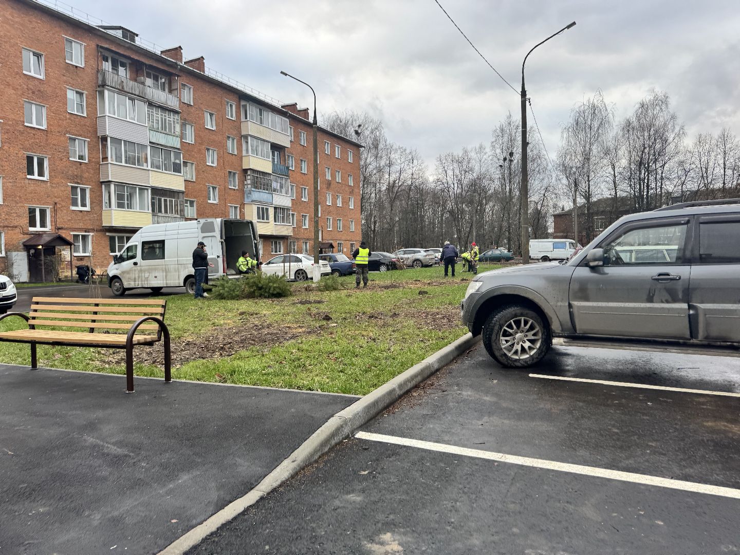 шаховская, посадка деревьев, коммунальная служба, вертикалки,