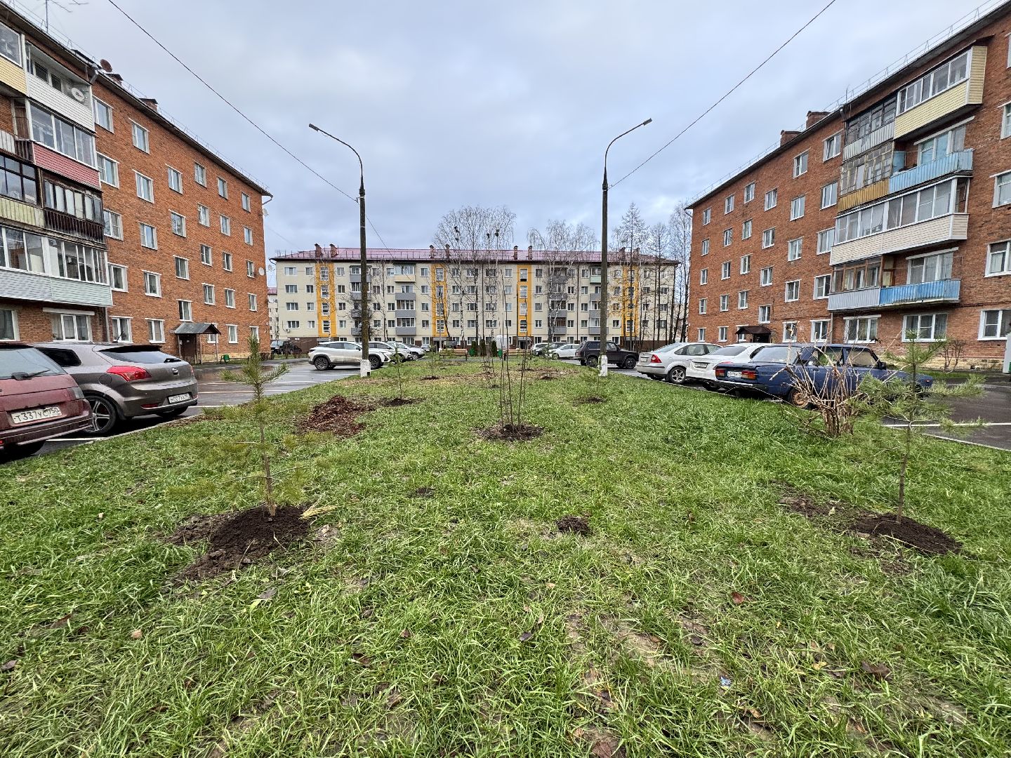 шаховская, посадка деревьев, коммунальная служба, вертикалки,