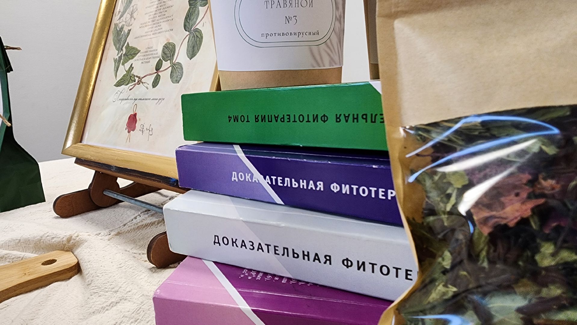 ступино, бизнес в подмосковье, поддержка предпринимателей, мой бизнес, вертикалки,