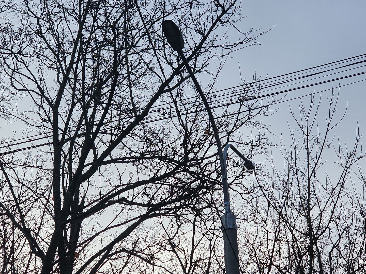 вертикалки, королёв,