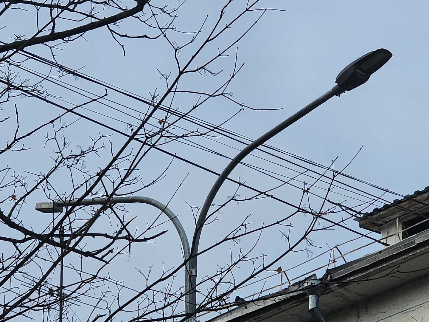 вертикалки, королёв,