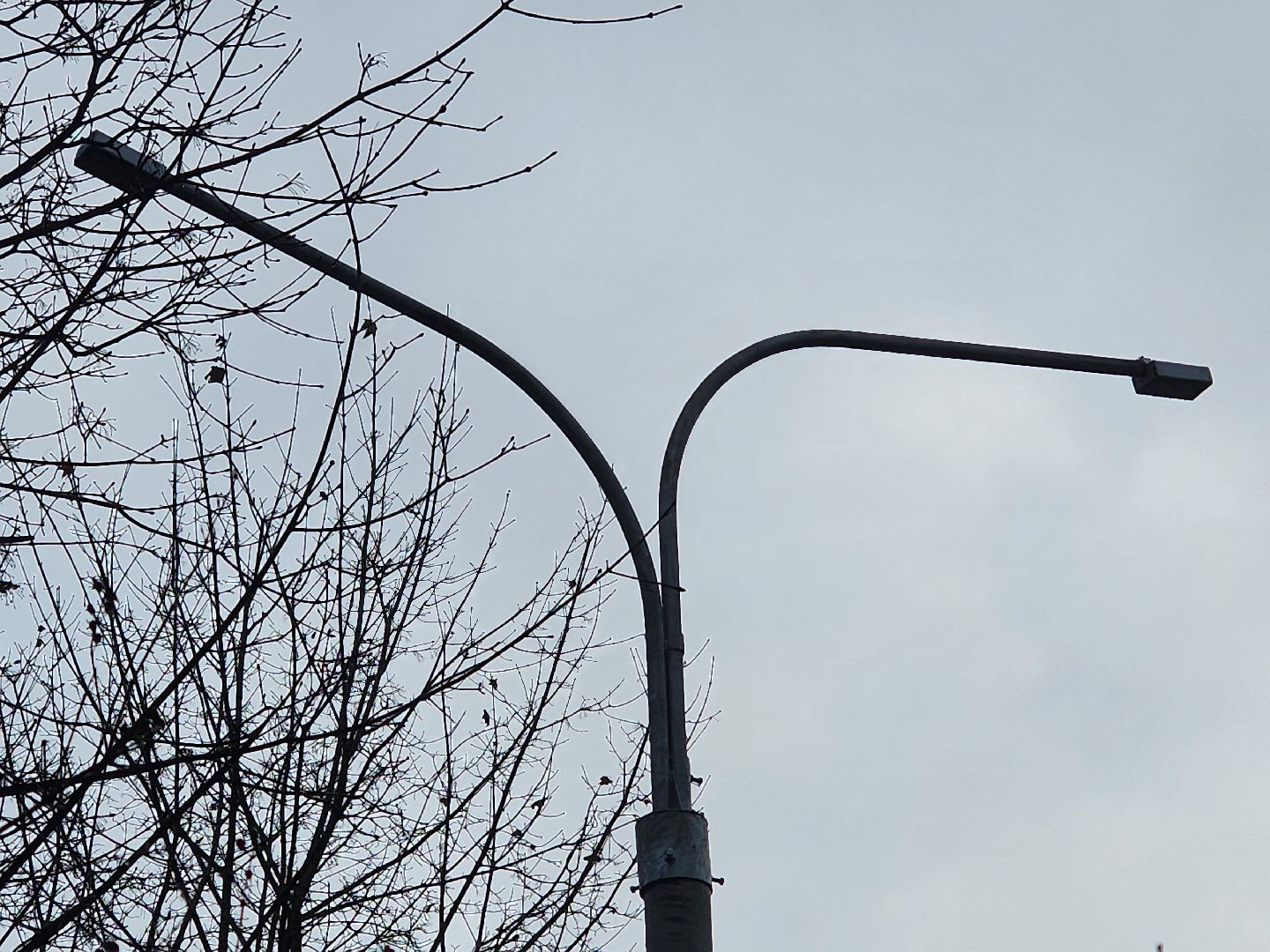 вертикалки, королёв,