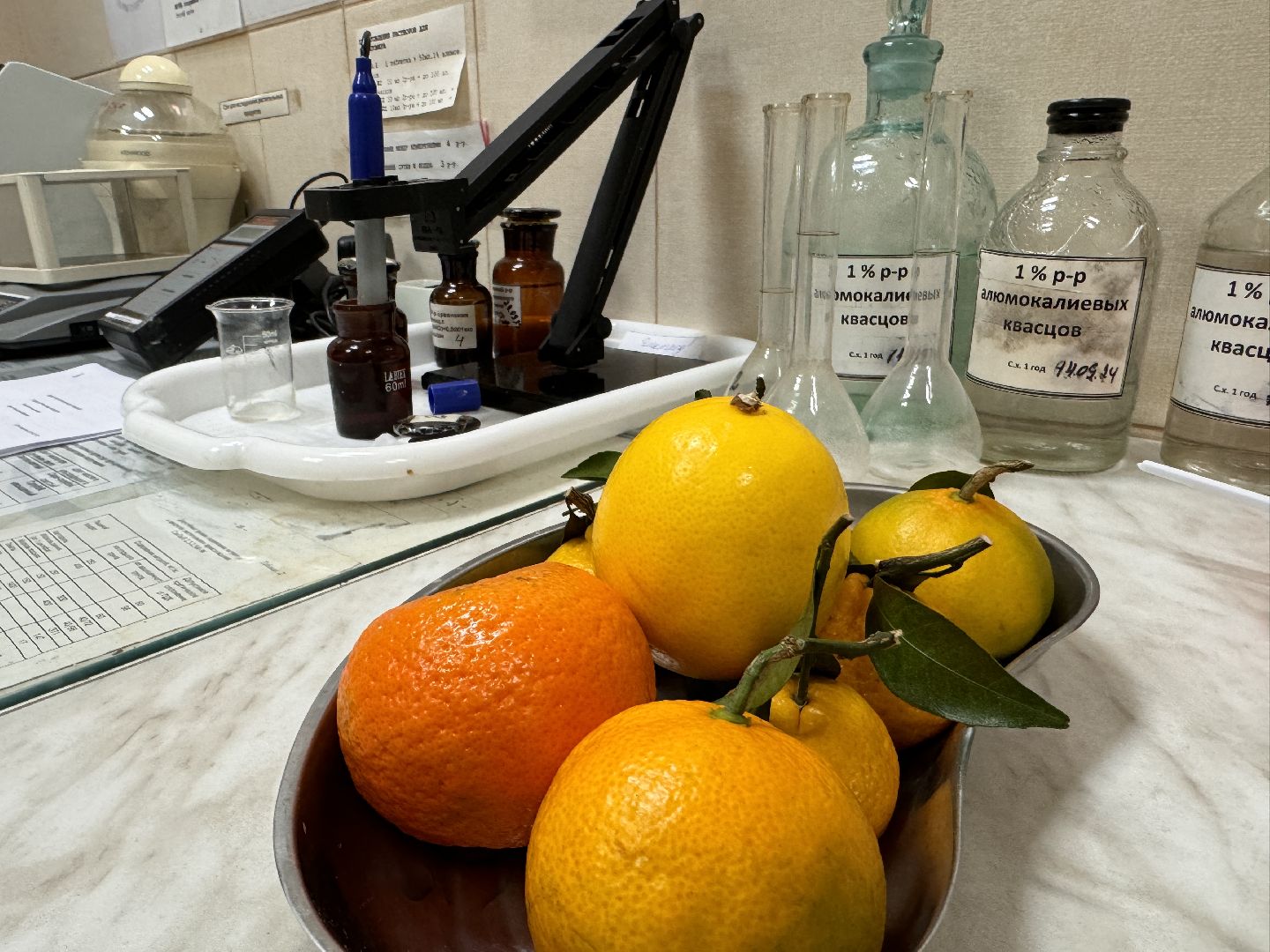 Одинцовское подворье, Проверка мандаринов, Новый год, Ветконтроль,