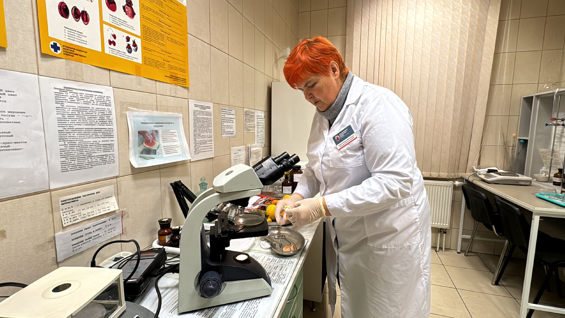 Одинцовское подворье, Проверка мандаринов, Новый год, Ветконтроль,