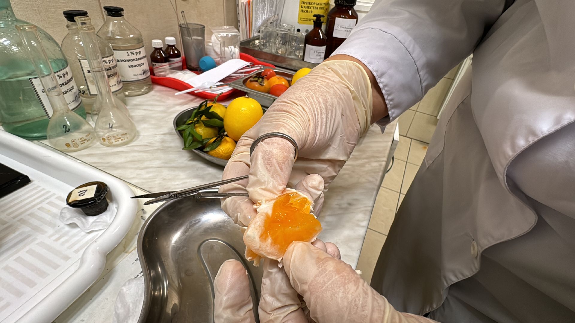 Одинцовское подворье, Проверка мандаринов, Новый год, Ветконтроль,