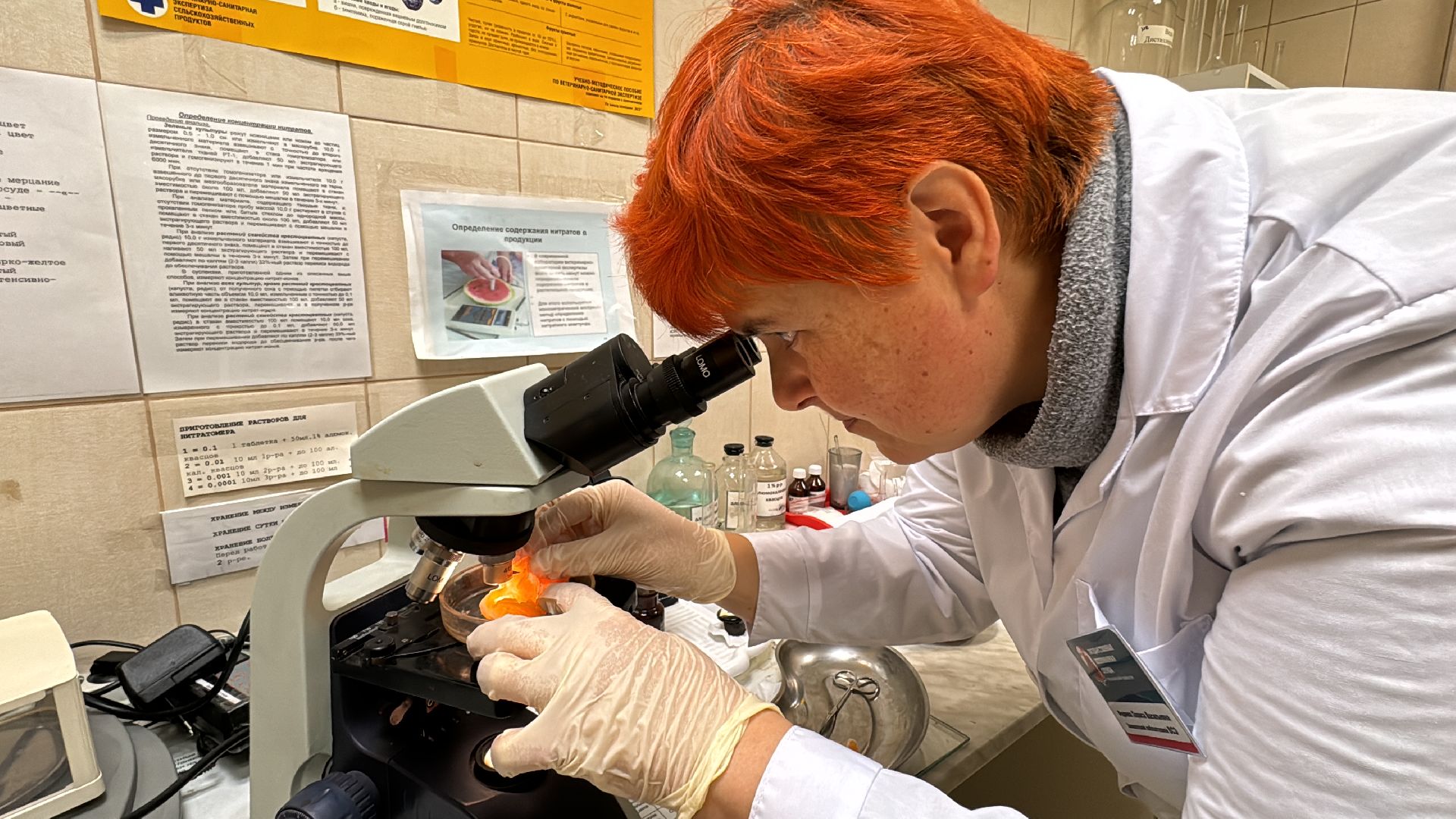 Одинцовское подворье, Проверка мандаринов, Новый год, Ветконтроль,