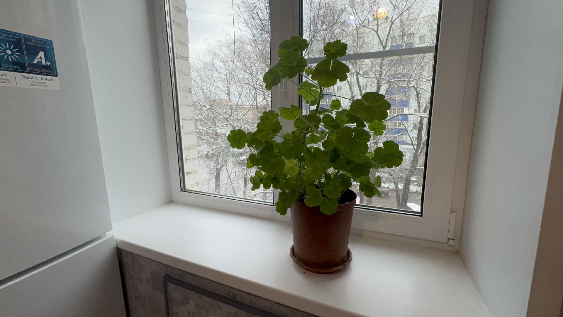 вертикалки, Солнечногорск, дети без попечения родителей, квартира, жилищный сертификат, дети сироты,