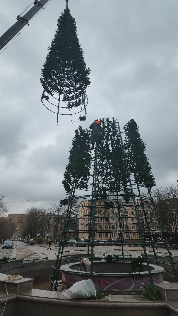 долгопрудный, площадь собина, новогодняя ель, вертикалки,