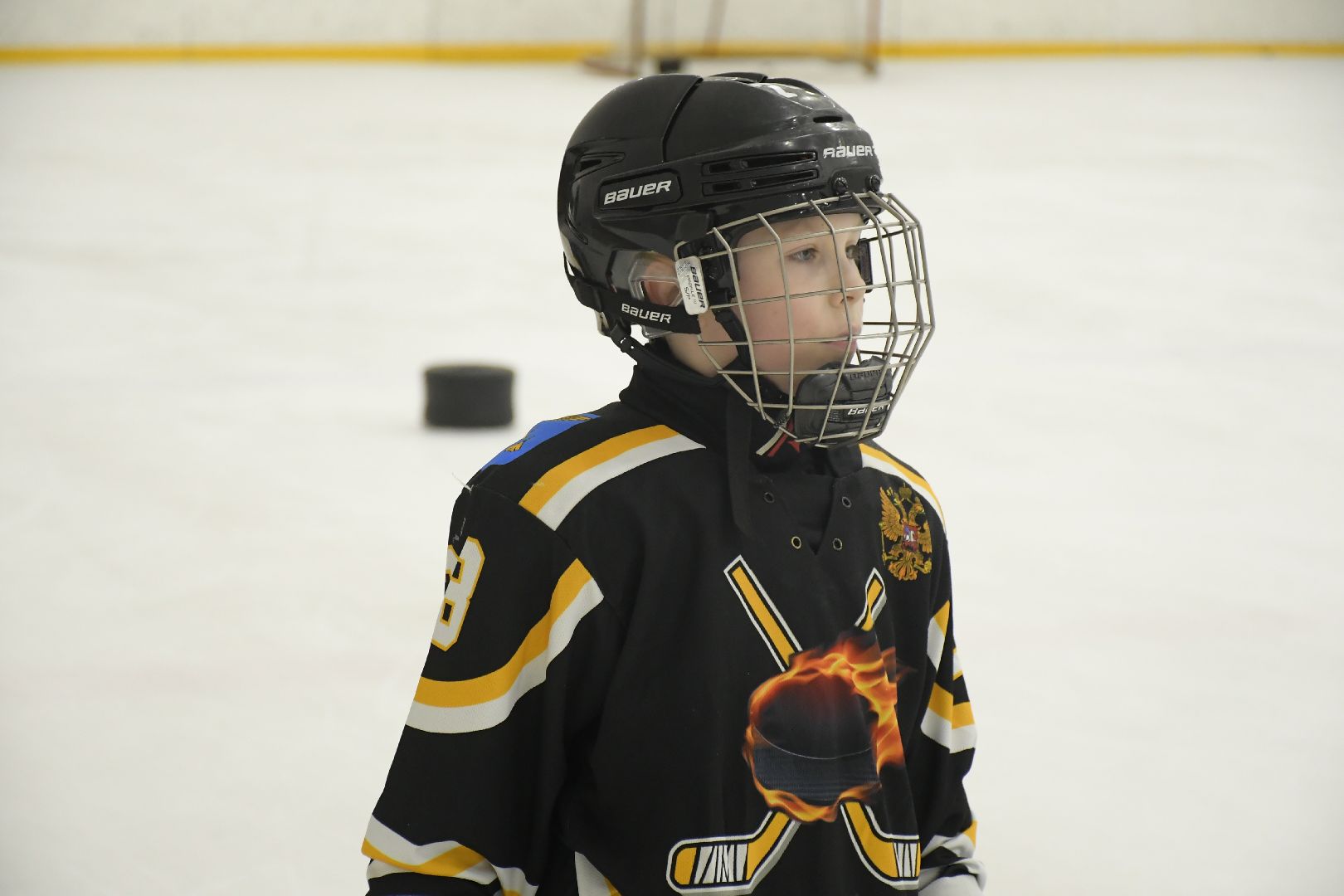 депутат, Госдумы, Роман, Терюшков, хоккеисты, Метеор