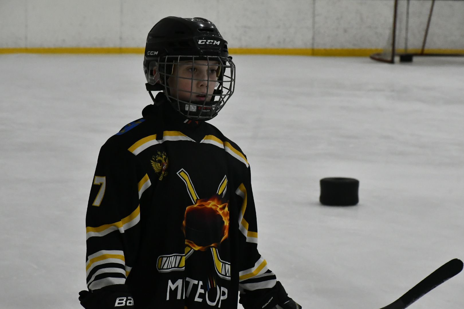 депутат, Госдумы, Роман, Терюшков, хоккеисты, Метеор