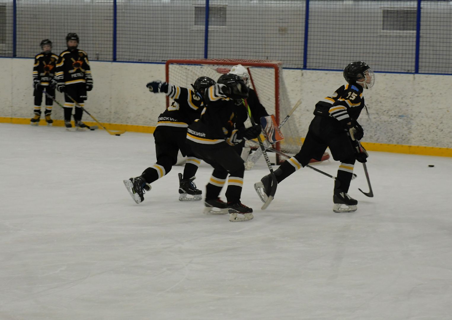 депутат, Госдумы, Роман, Терюшков, хоккеисты, Метеор