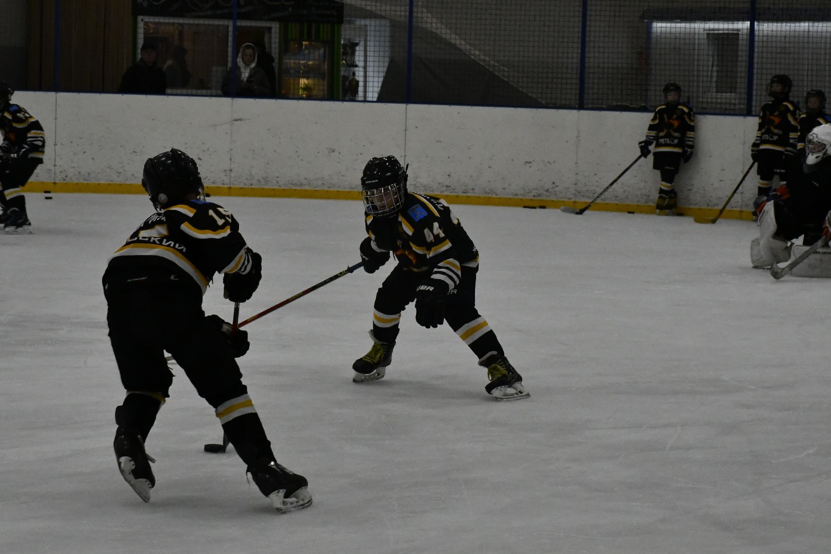 депутат, Госдумы, Роман, Терюшков, хоккеисты, Метеор