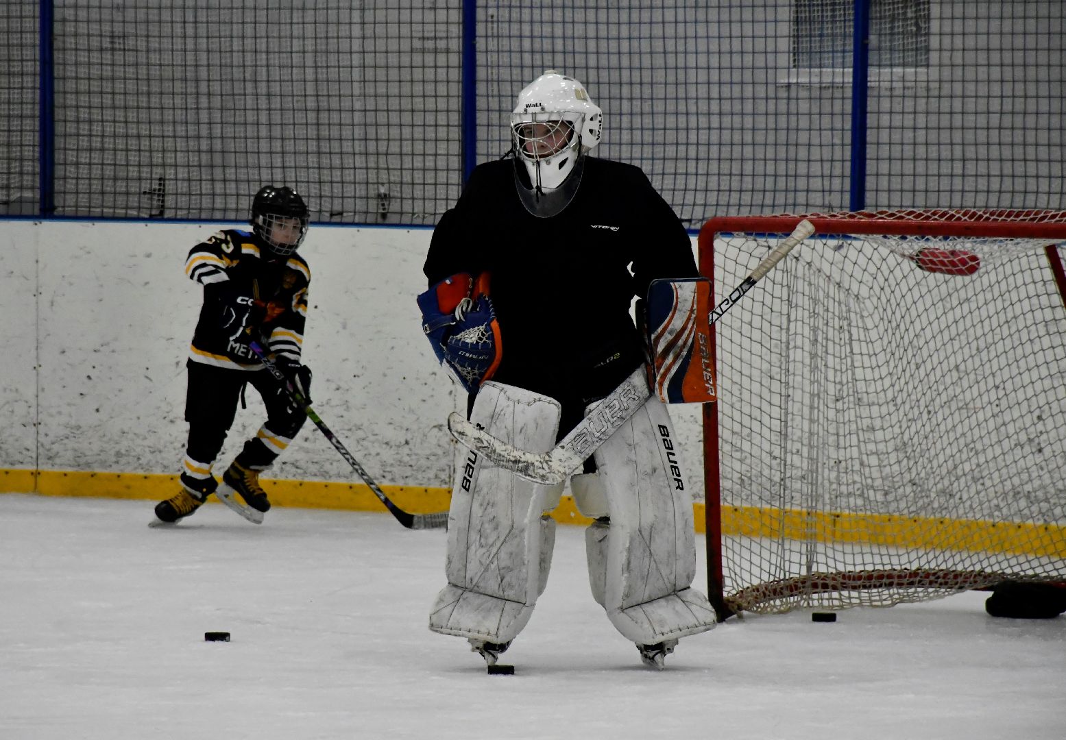 депутат, Госдумы, Роман, Терюшков, хоккеисты, Метеор