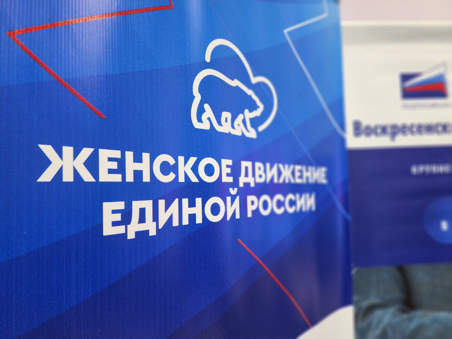 воскресенск, бизнес, нежный бизнес,