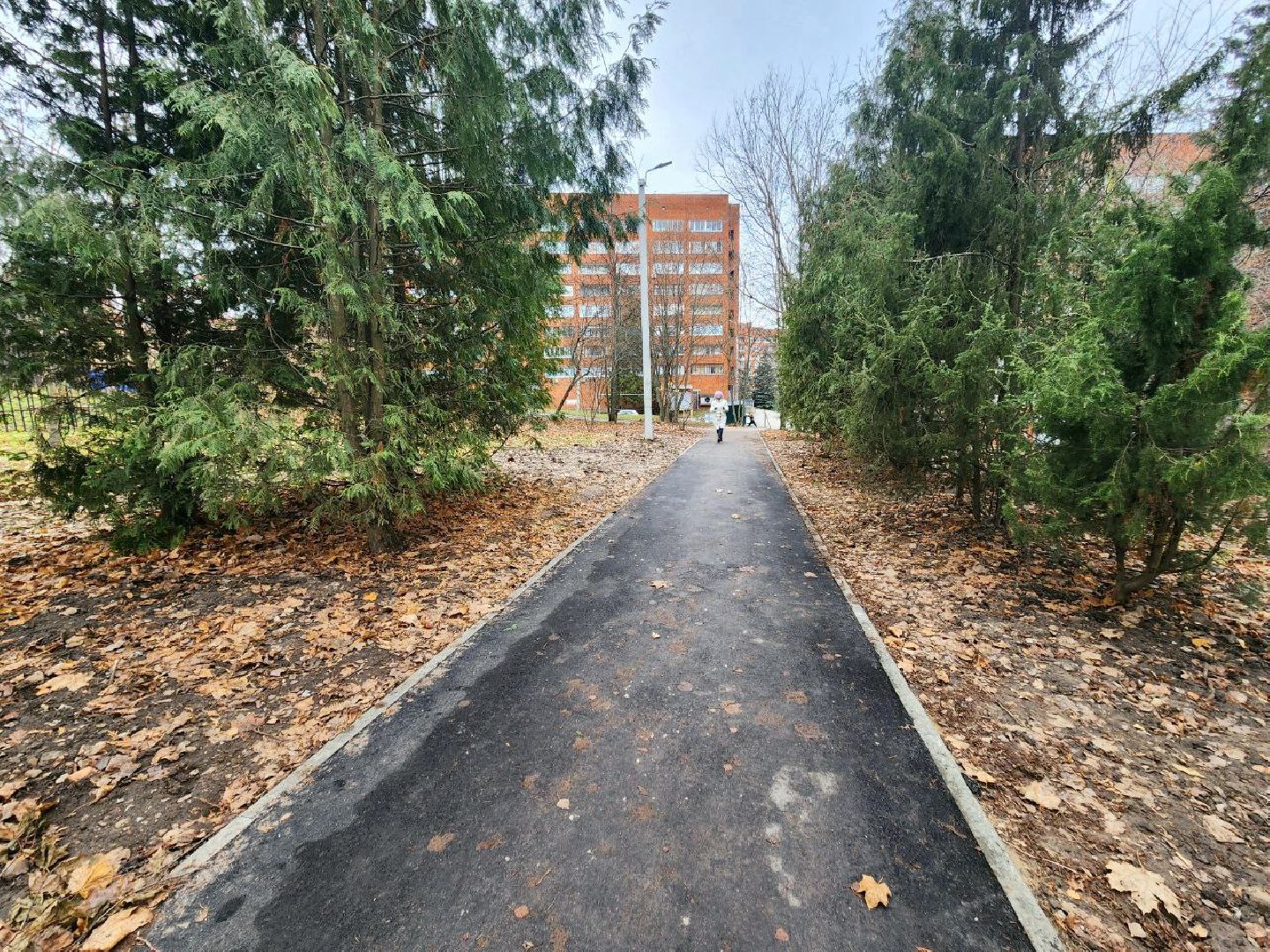 пущино, серпухов, благоустройство, вертикалки,