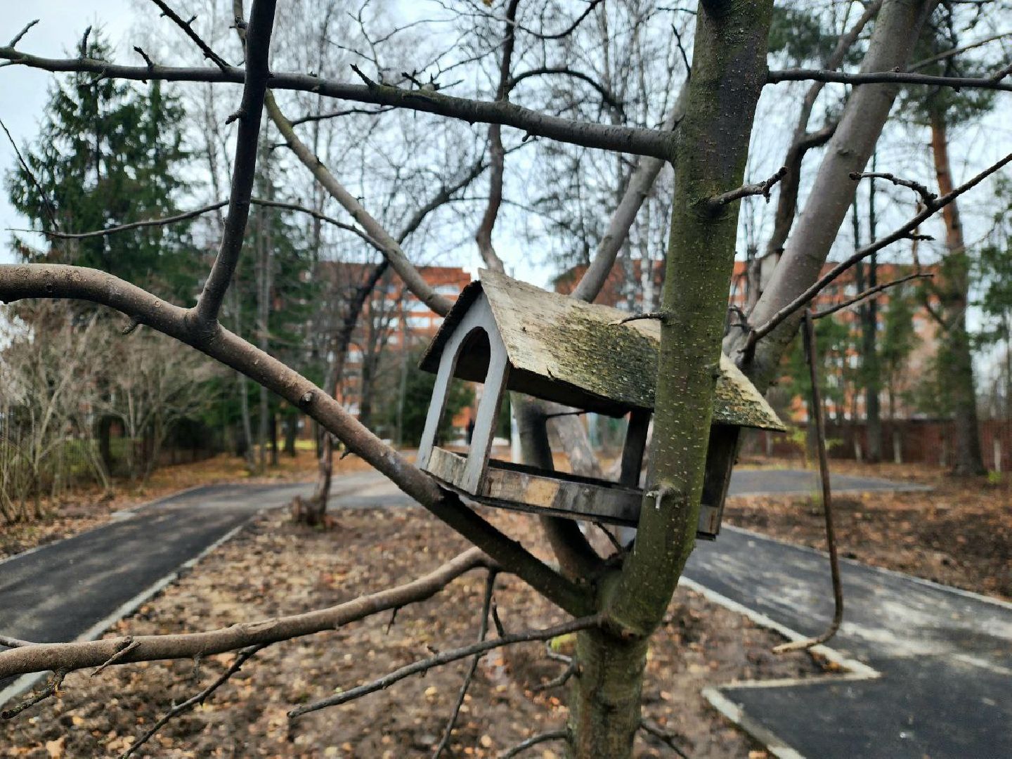 пущино, серпухов, благоустройство, вертикалки,