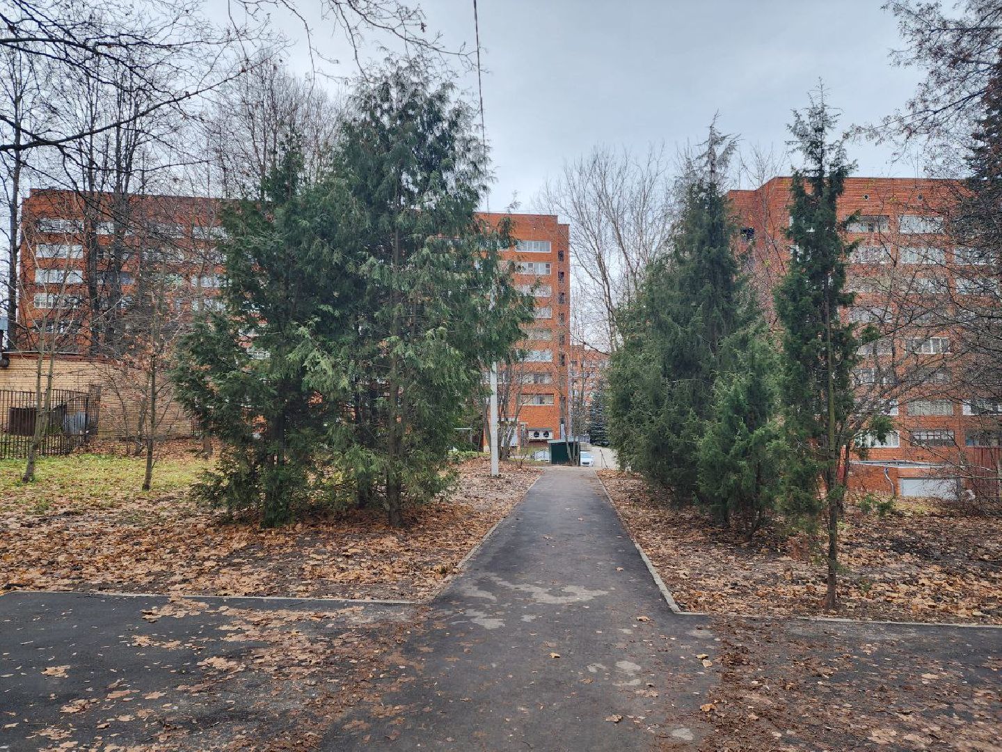 пущино, серпухов, благоустройство, вертикалки,