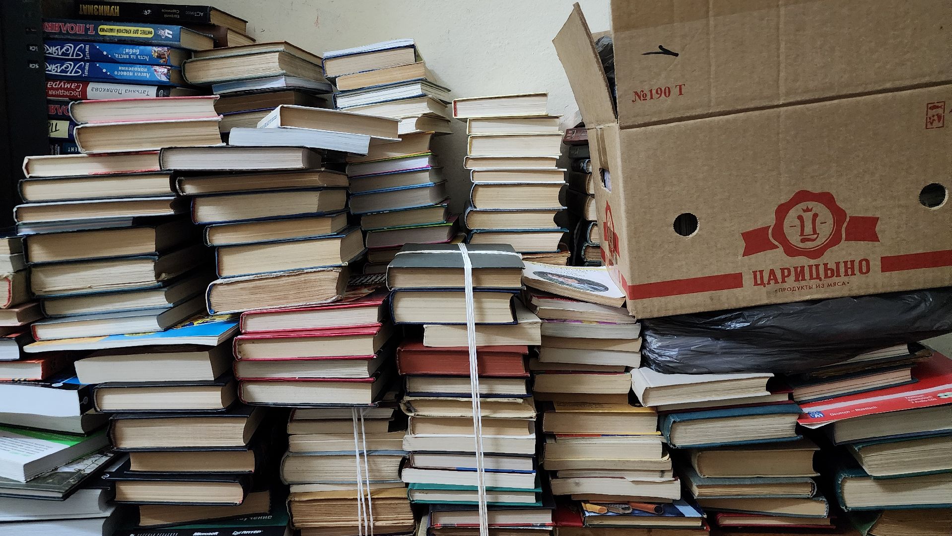 сбор макулатуры, благотворительная акция, Новый год, Ногинск, Богородский городской округ,вертикалки