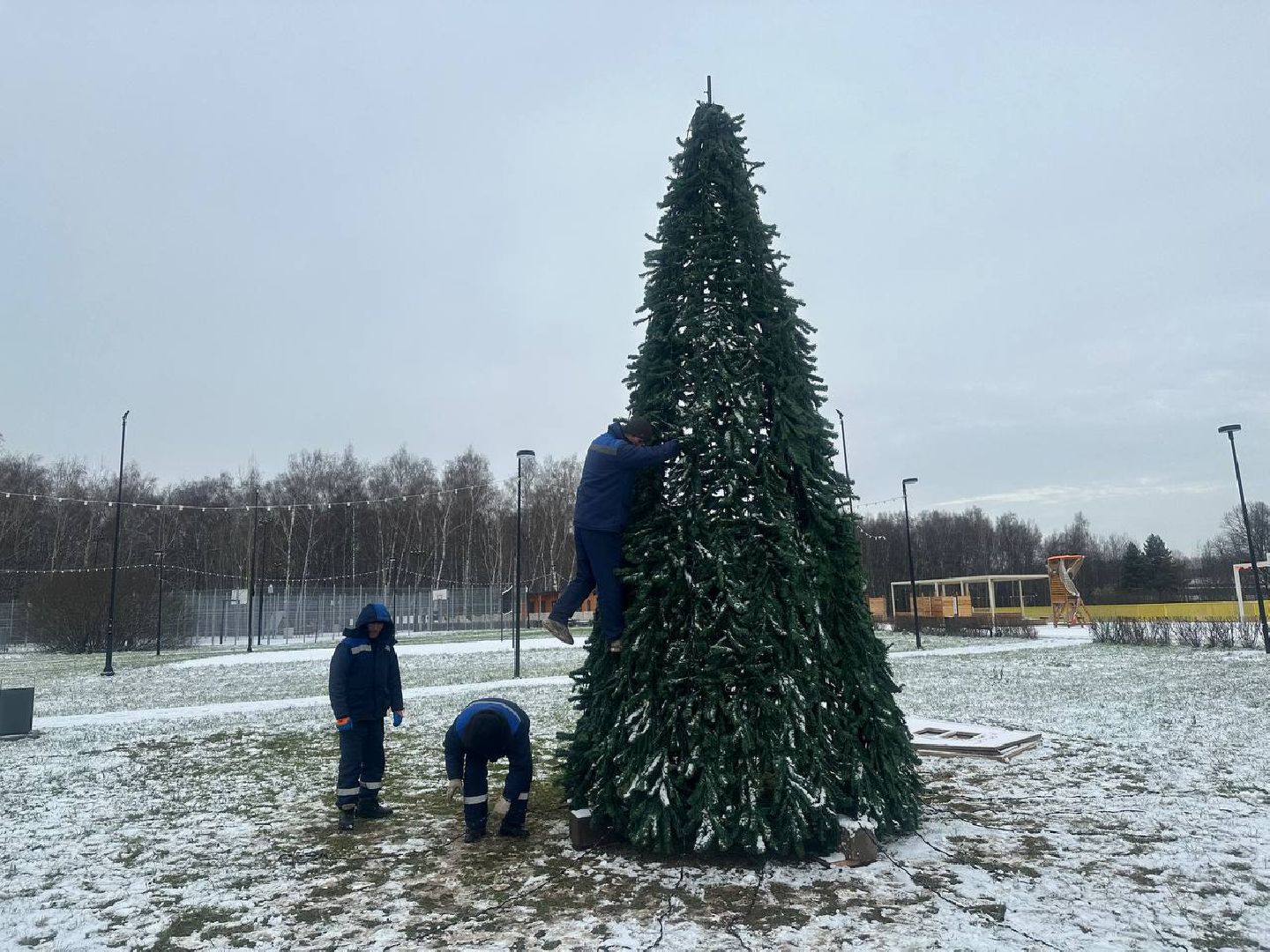 парки домодедово, новогодняя елка,вертикалки