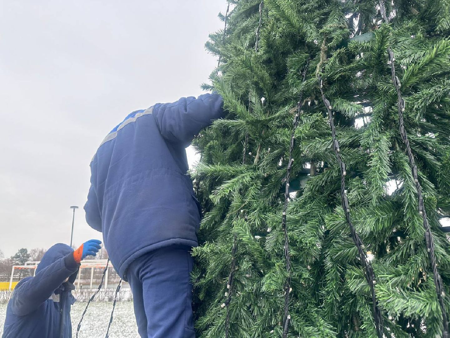 парки домодедово, новогодняя елка,вертикалки