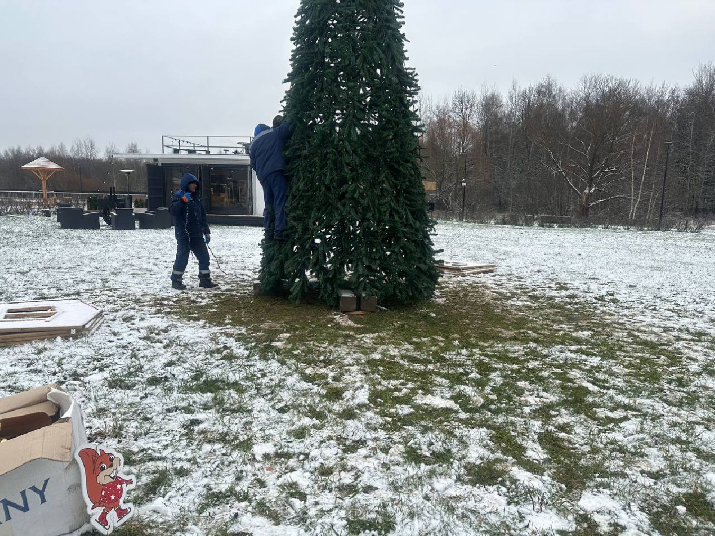 парки домодедово, новогодняя елка,вертикалки