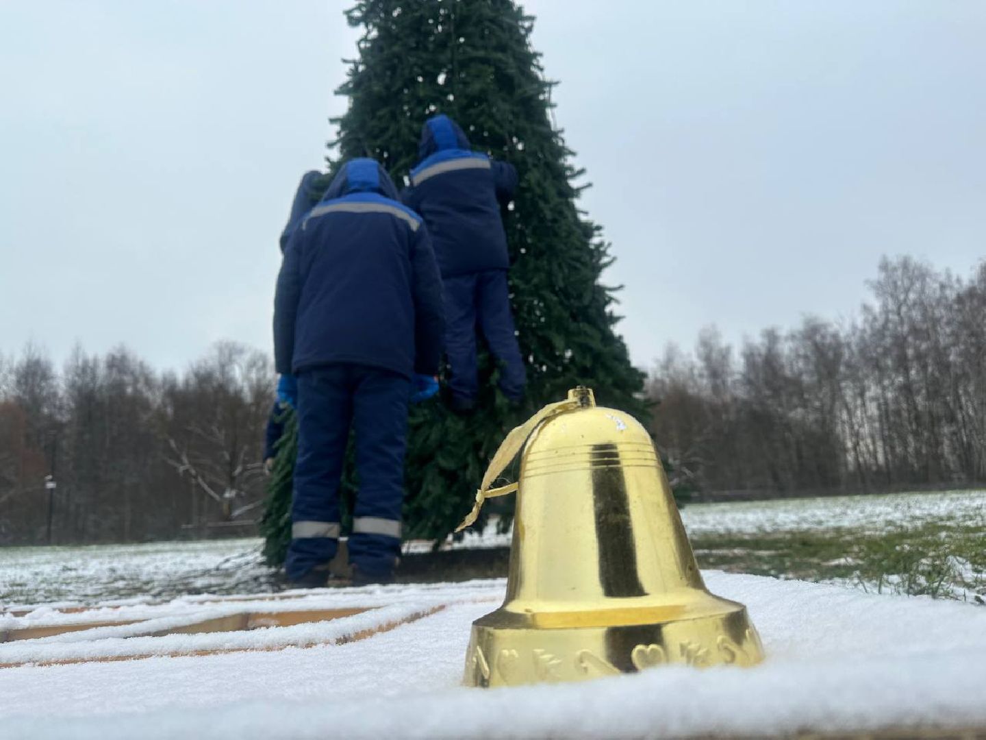 парки домодедово, новогодняя елка,вертикалки